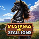 Mustang and Stallions